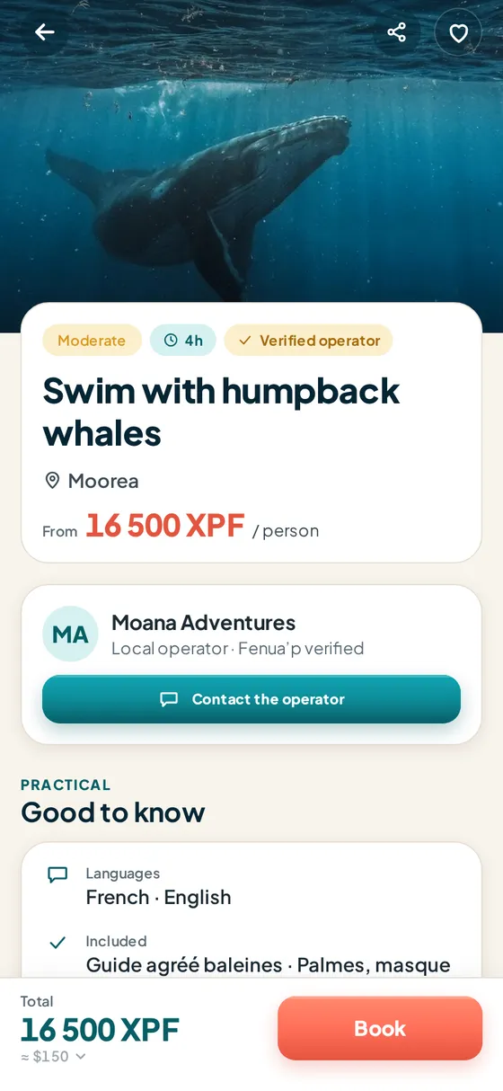 Swim with whales