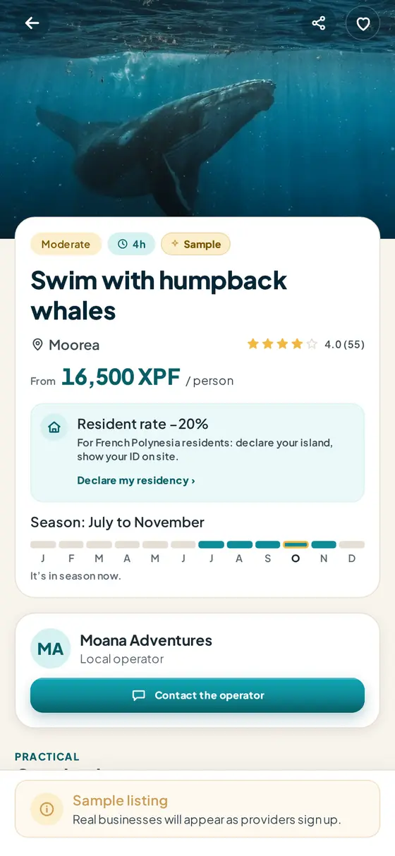 Swim with whales