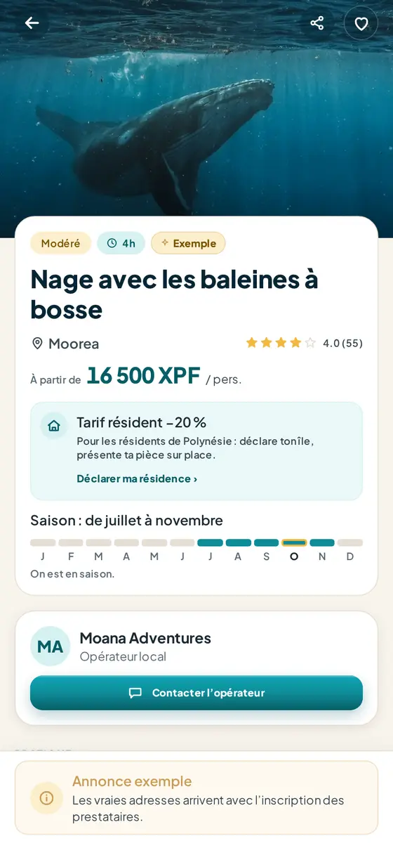 Nage avec les baleines
