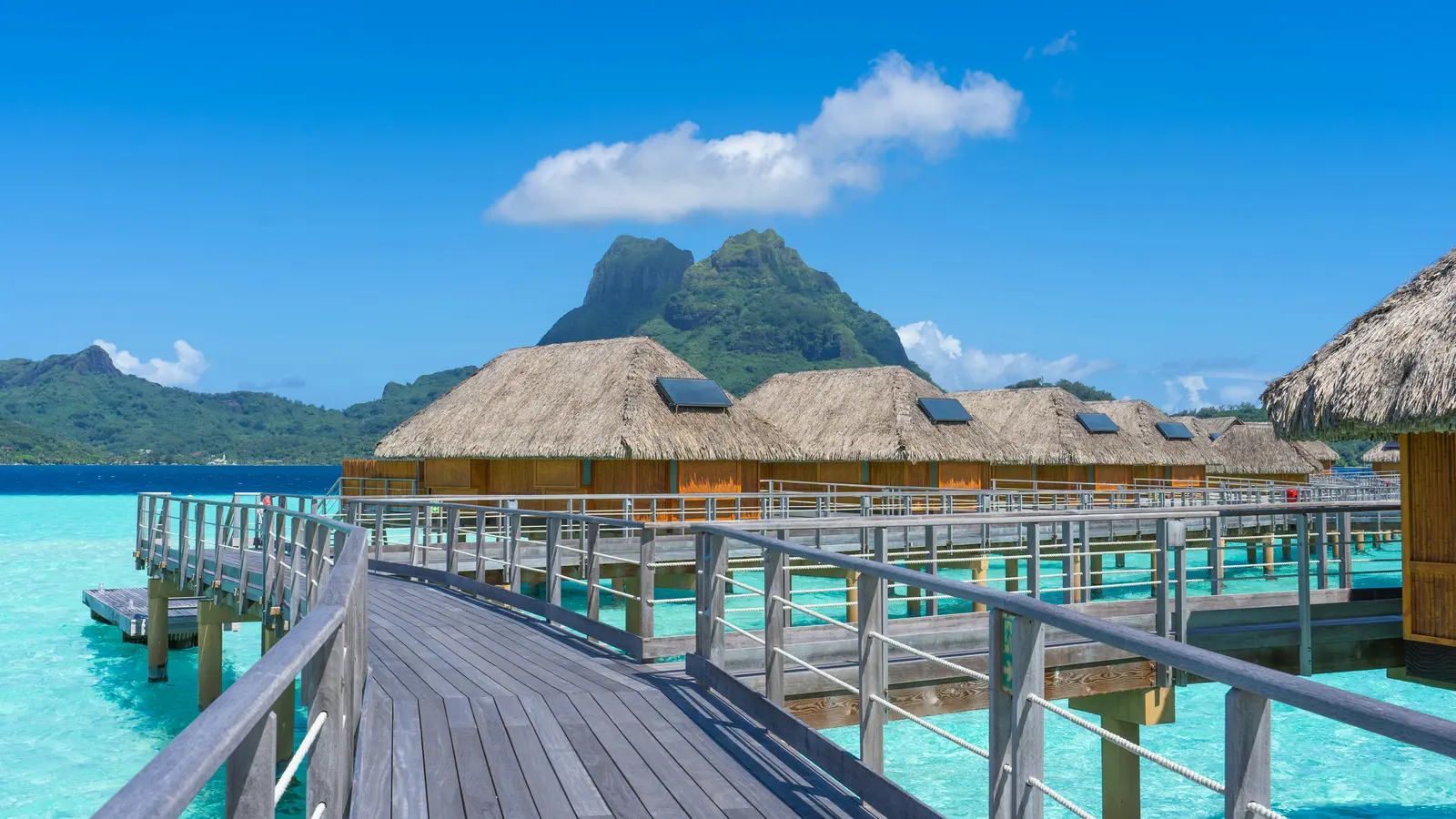 Fenua’p — Le voyage d’une vie, commence ici