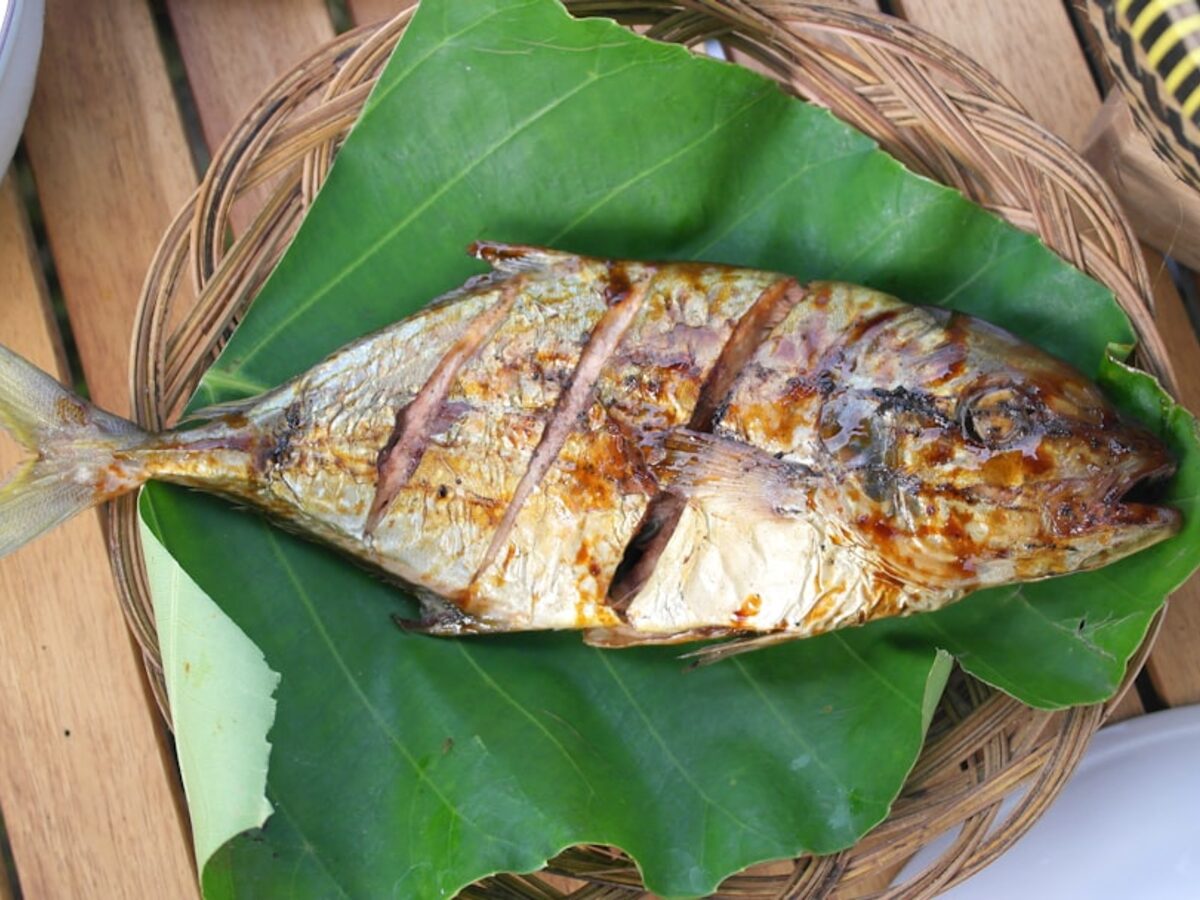 Fare Maʻa Tehani