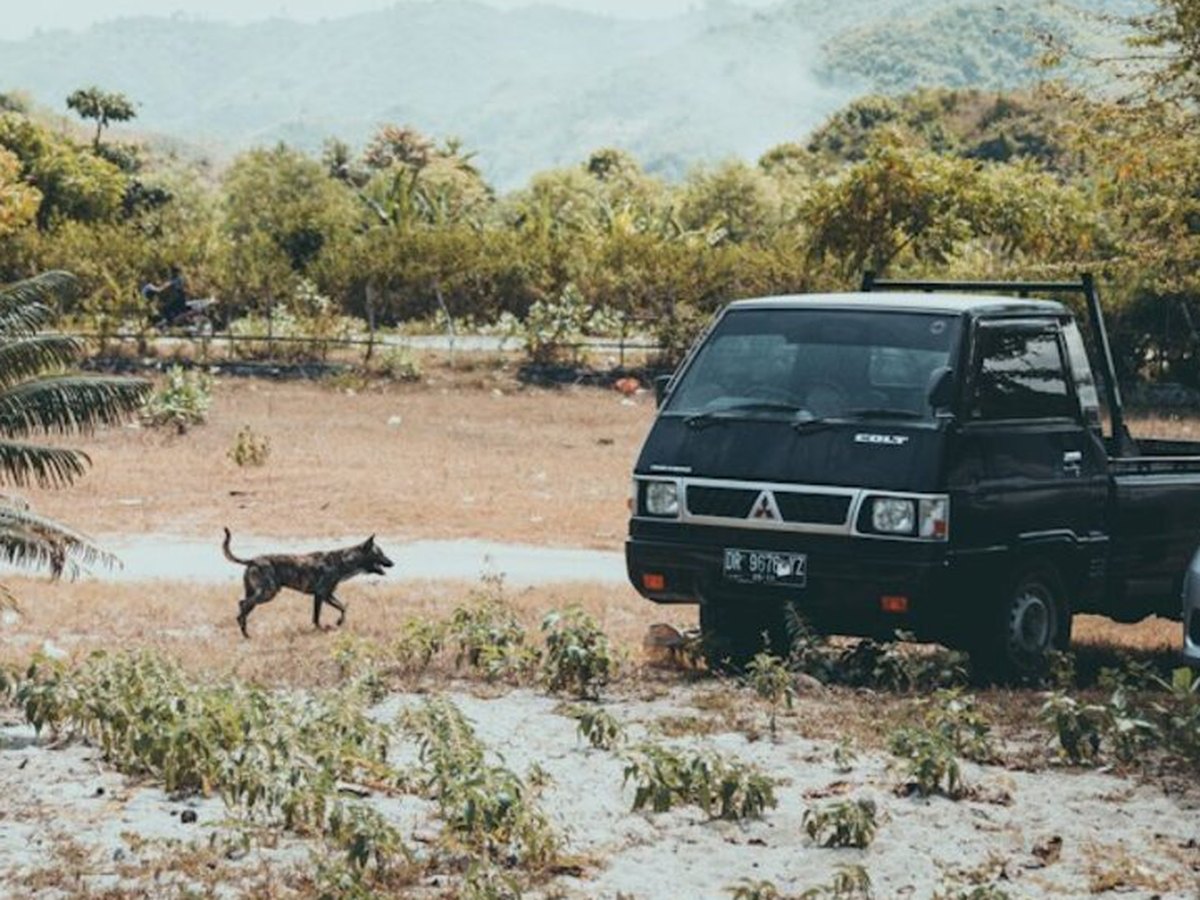 4×4 pour Puamau