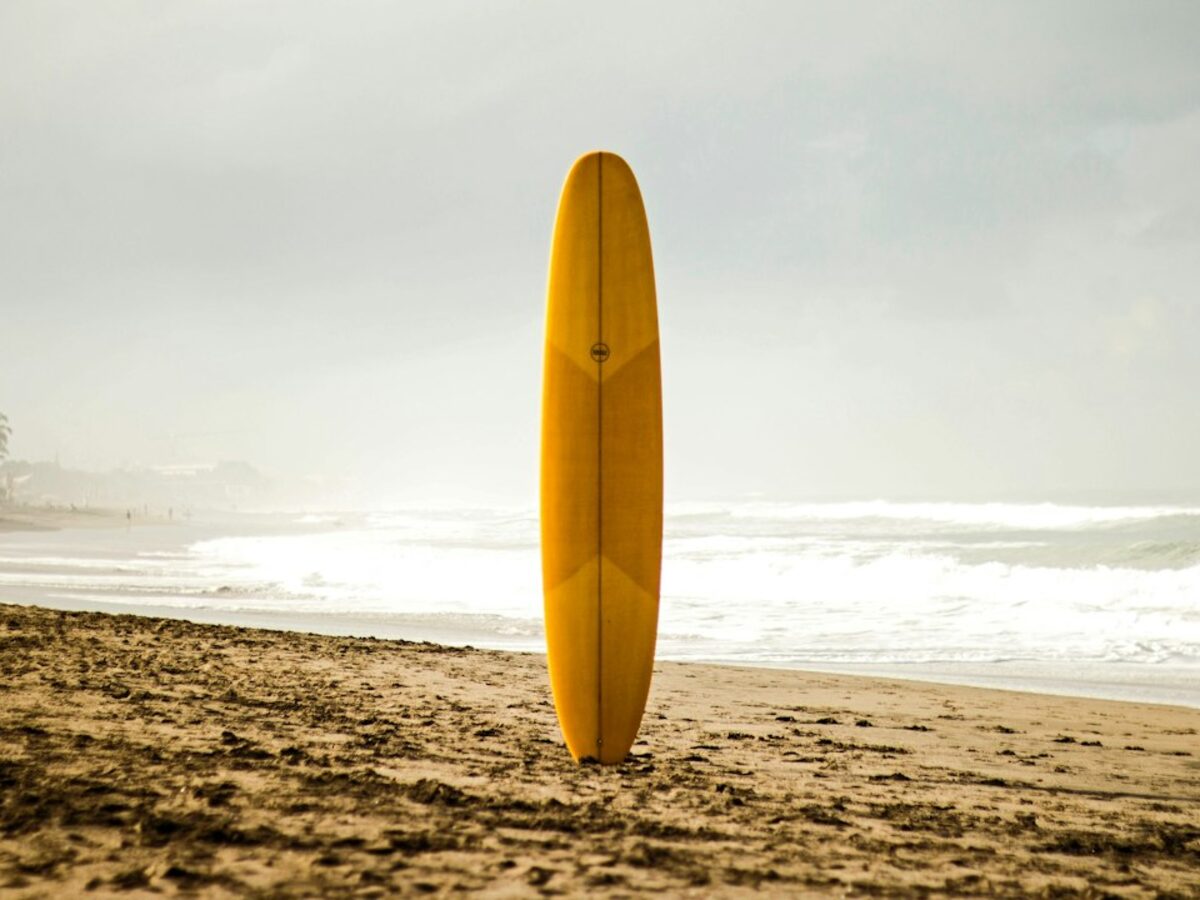 Longboard 9 pieds — débutant